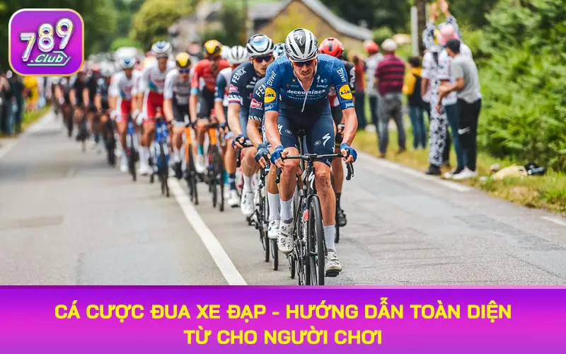 cá cược đua xe đạp