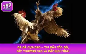 đá gà cựa dao