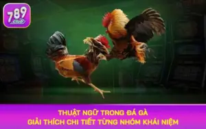 thuật ngữ trong đá gà