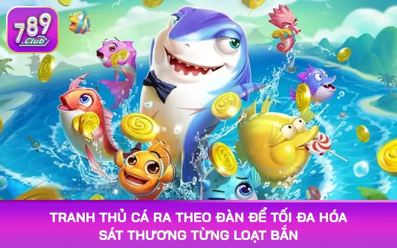 Tranh thủ cá ra theo đàn để tối đa hóa sát thương từng loạt bắn