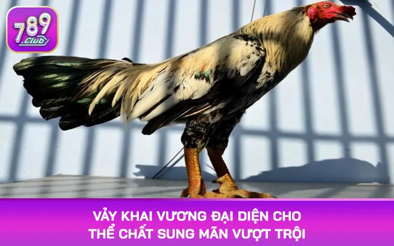 Vảy khai vương đại diện cho thể chất sung mãn vượt trội