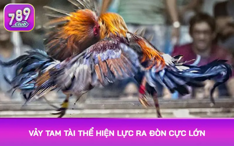 Vảy tam tài thể hiện lực ra đòn cực lớn